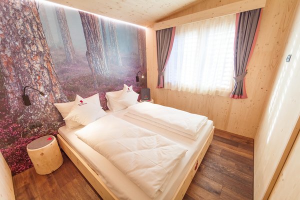 Photo of the room Apartments in hotel Olympia
