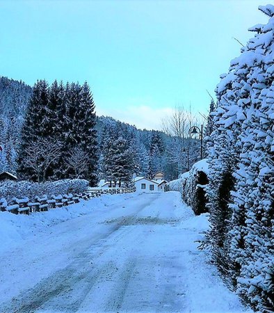 Gallery inverno