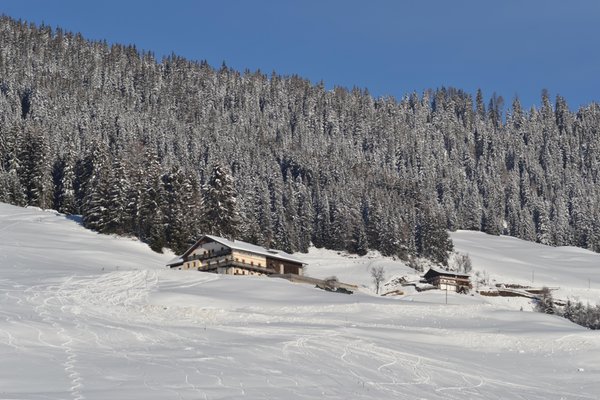 Photo exteriors in winter Gostnerhof