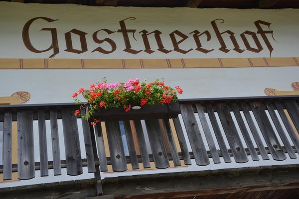 Photo exteriors in summer Gostnerhof