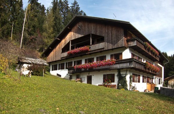 Foto esterno in estate Baumannhof