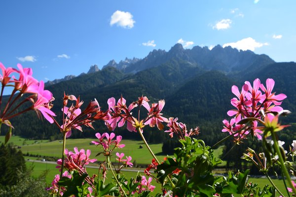 Panorama Dobbiaco