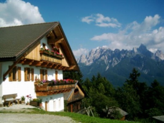 Bild Ferienwohnungen auf dem Bauernhof Oberthalmannhof