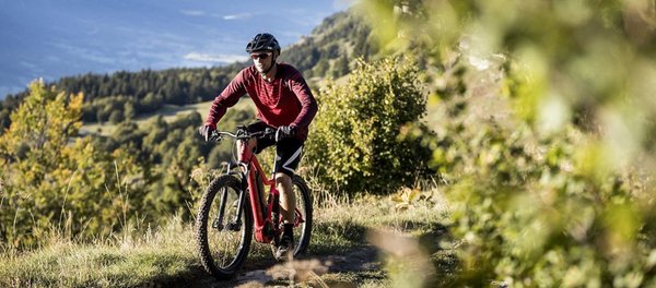 Foto estiva di presentazione Noleggio bici Da Carlo