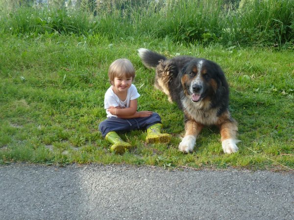 Foto degli animali