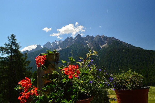 Aussicht vom Betrieb