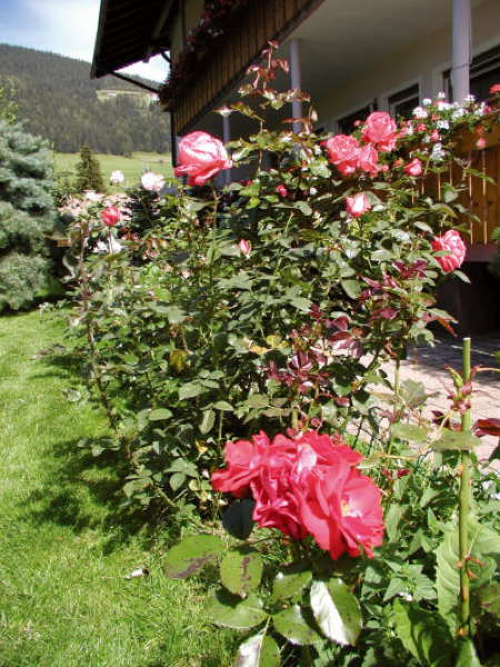Foto del giardino Villabassa