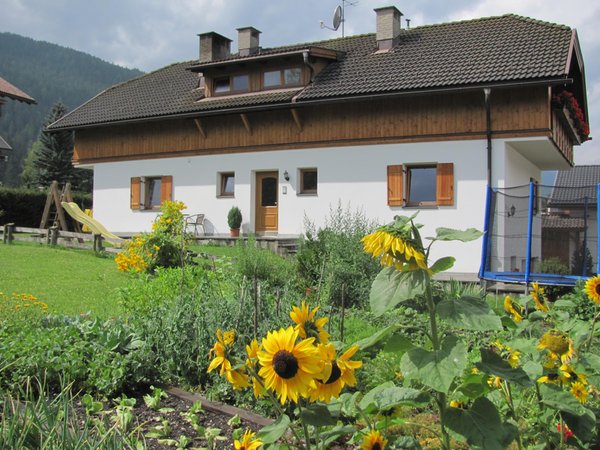 Sommer Präsentationsbild Ferienwohnungen auf dem Bauernhof Hoferhof