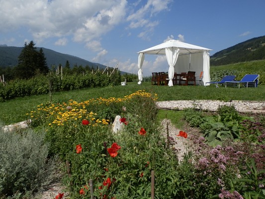 Foto del giardino Villabassa