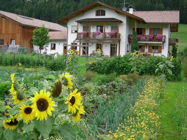 Photo exteriors in summer Stifterhof