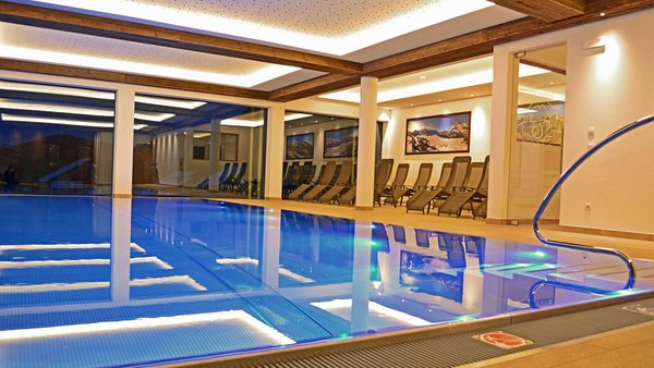 La piscina Hotel Trenker