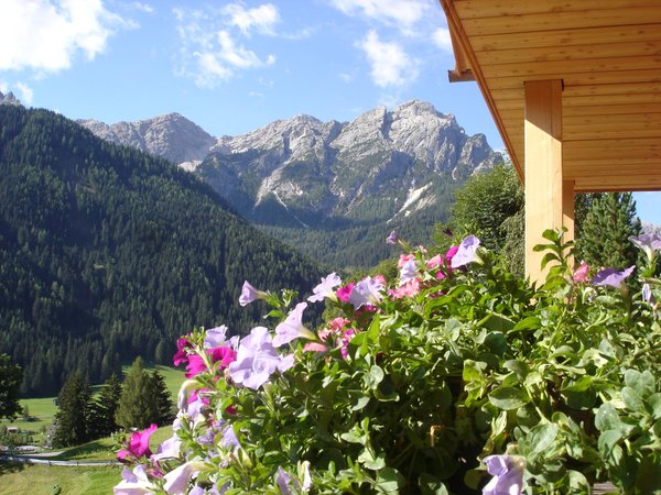 Photo exteriors in summer Bergheim