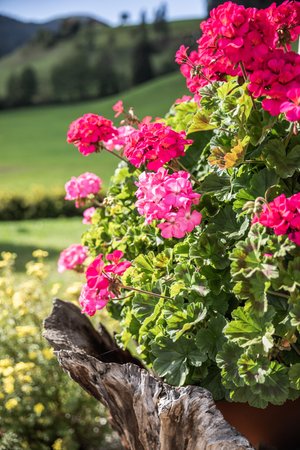 Foto del giardino Braies di Dentro