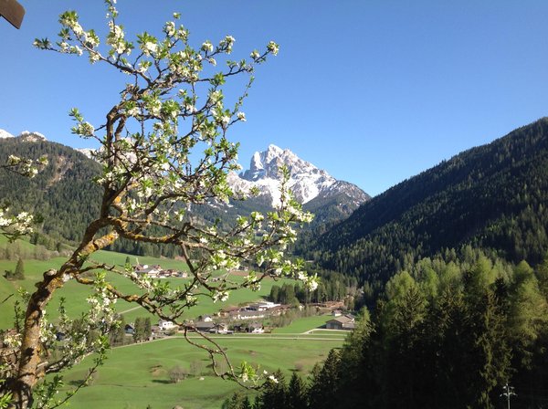 Bildergalerie Sommer