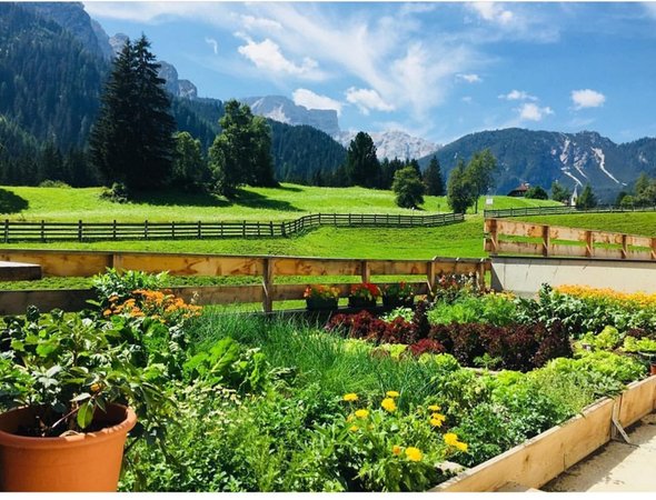 Foto del giardino Braies