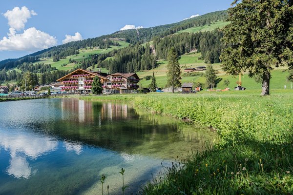 Foto Außenansicht im Sommer Waldheim