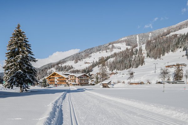 Foto Außenansicht im Winter Waldheim