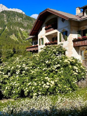Foto Außenansicht Hotel Holzer