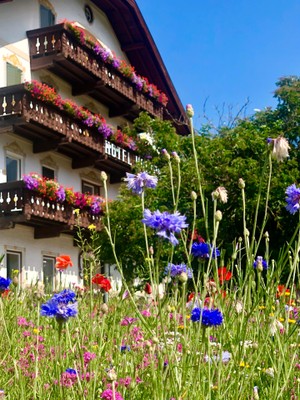 Photo exteriors Hotel Holzer