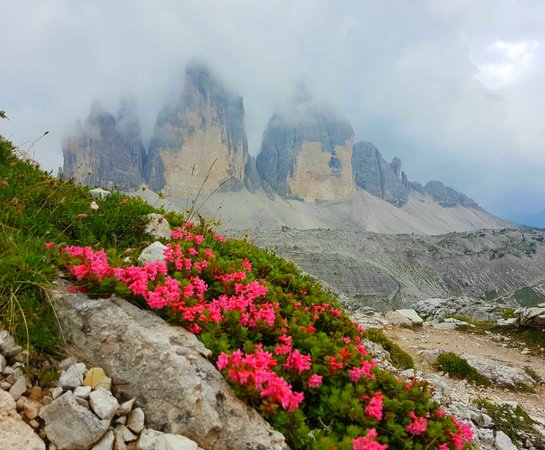 Photo gallery Three Peaks Dolomites - Alta Pusteria summer
