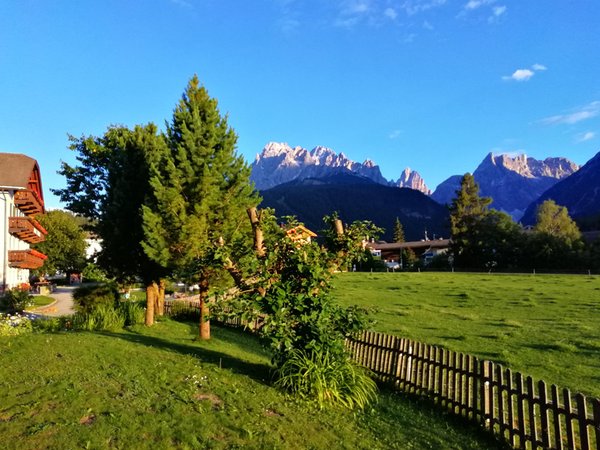 Bildergalerie Sommer