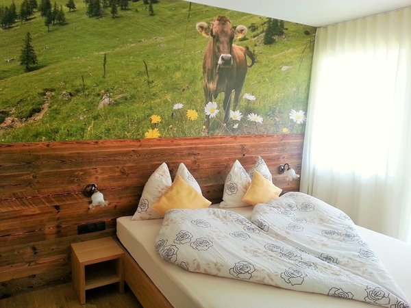 Foto vom Zimmer Zimmer + Ferienwohnungen Landhaus Holzer