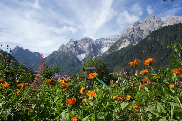 Panoramic view Sesto / Sexten - Moso / Moos