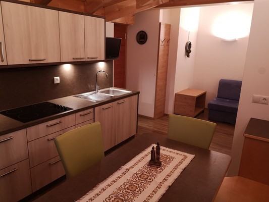 Photo of the kitchen Haus Ortner