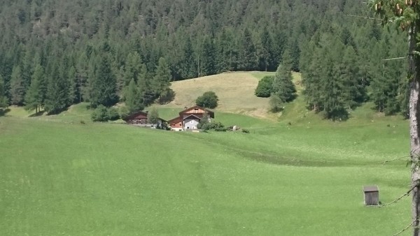 Position Farmhouse B&B + Apartments Bühlerhof Sesto / Sexten