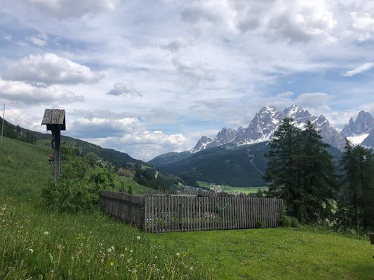 Foto del giardino Sesto