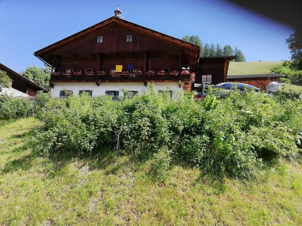 Photo exteriors in summer Innerrauthof