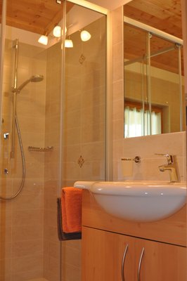 Foto del bagno Appartamenti Speckign