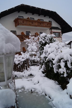 Foto esterno in inverno Alpenrose