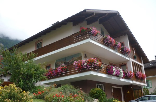 Foto esterno in estate Marino Vanzetta