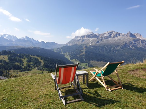 Bildergalerie Sommer