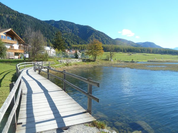 Photo gallery summer