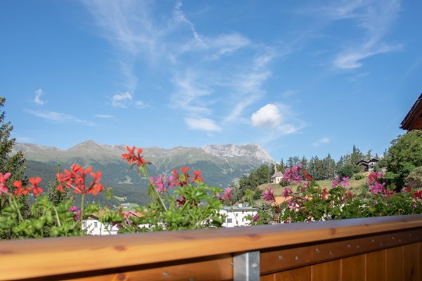 Photo of the balcony Theiner