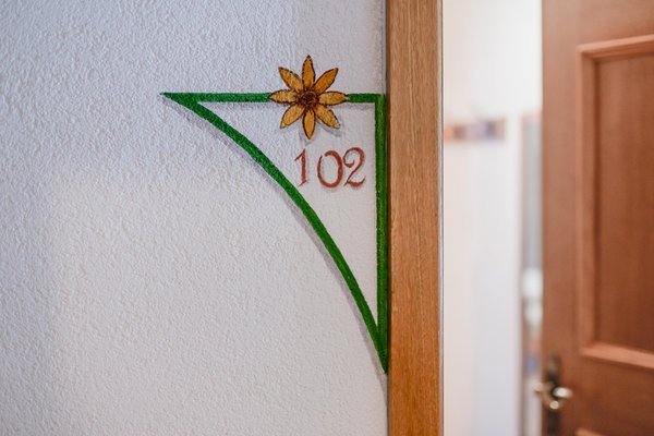 Foto di alcuni dettagli Chavalatsch