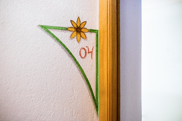 Foto di alcuni dettagli Chavalatsch