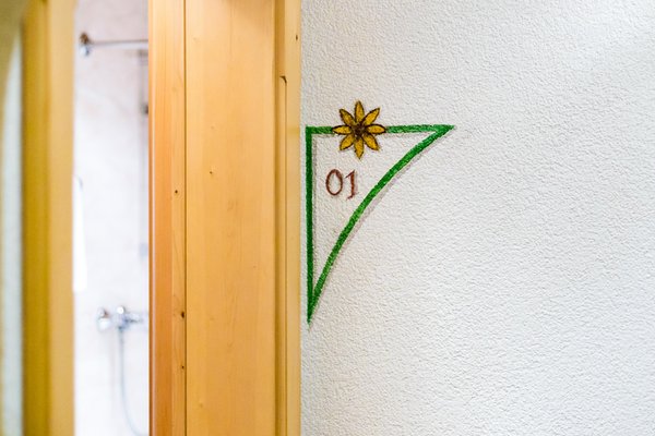 Foto di alcuni dettagli Chavalatsch