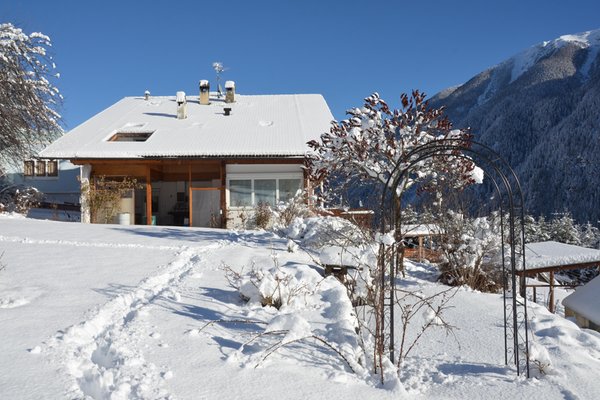 Bildergalerie Winter