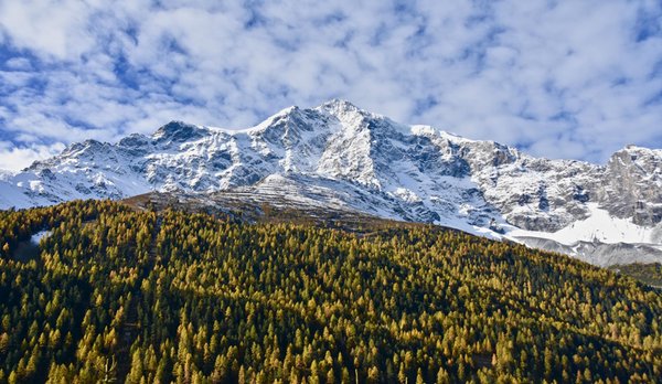 Aussicht Sulden