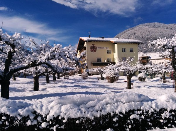Foto Außenansicht im Winter Residence Ortlerhof
