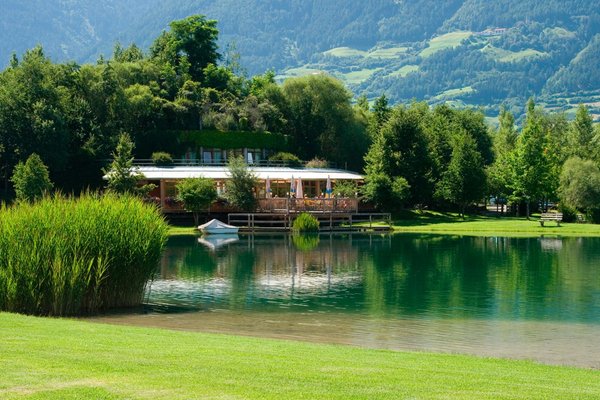Bildergalerie Sommer