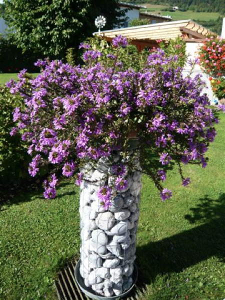 Foto del giardino Prato allo Stelvio