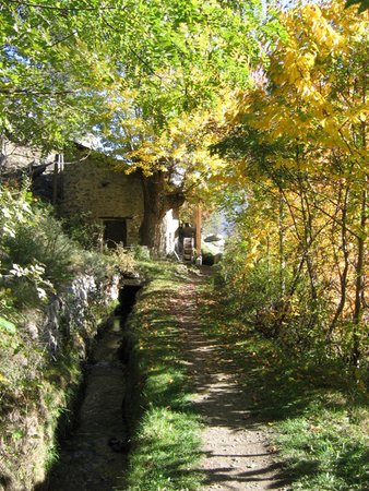 Photo of the garden Silandro / Schlanders