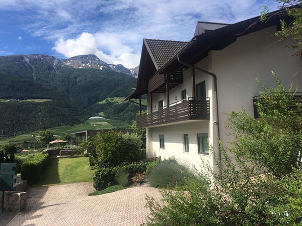 Foto Außenansicht im Sommer Kortscherhof