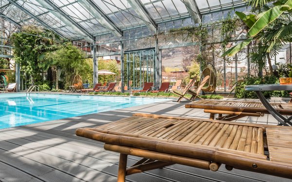 La piscina Hotel Bamboo