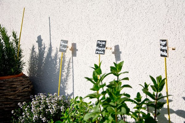 Photo of the garden Valle di Casies / Gsieser Tal