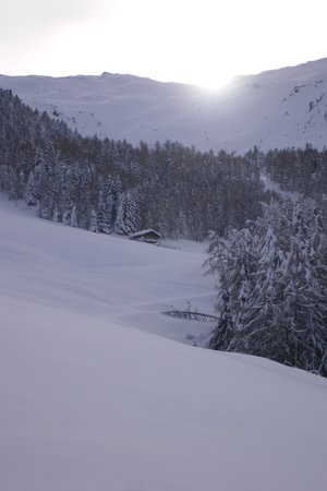 Bildergalerie Winter